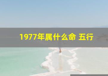 1977年属什么命 五行